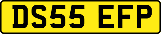 DS55EFP