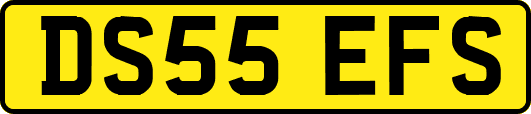 DS55EFS