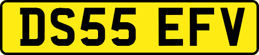 DS55EFV