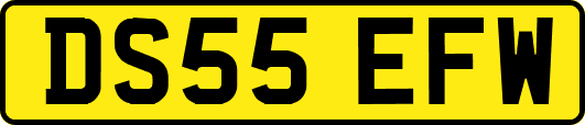 DS55EFW