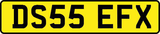 DS55EFX