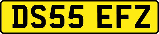 DS55EFZ