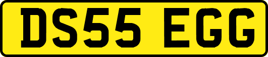 DS55EGG