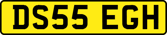 DS55EGH