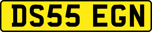 DS55EGN
