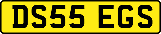 DS55EGS