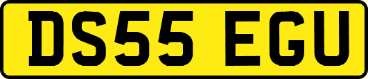 DS55EGU