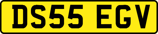 DS55EGV