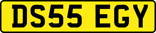 DS55EGY