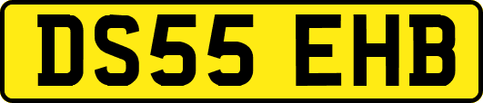 DS55EHB