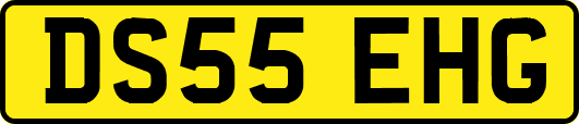 DS55EHG