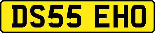 DS55EHO