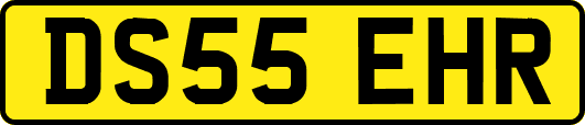 DS55EHR