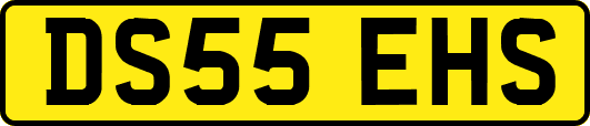 DS55EHS
