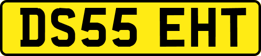 DS55EHT