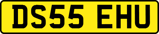 DS55EHU