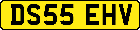 DS55EHV