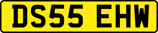 DS55EHW