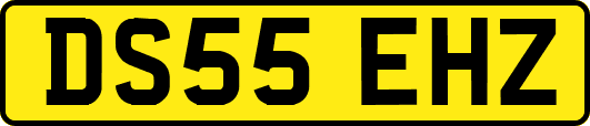 DS55EHZ