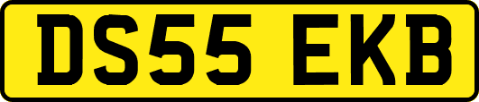 DS55EKB
