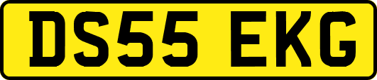 DS55EKG