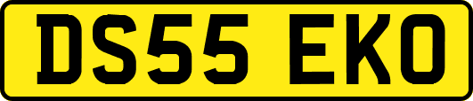 DS55EKO