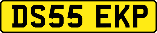 DS55EKP