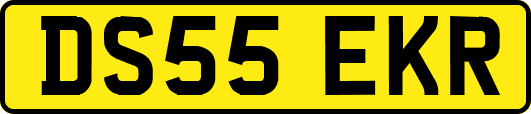 DS55EKR