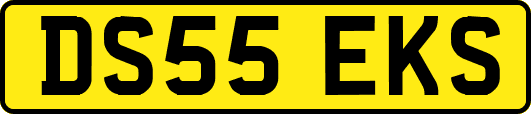 DS55EKS