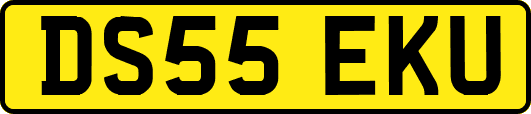 DS55EKU