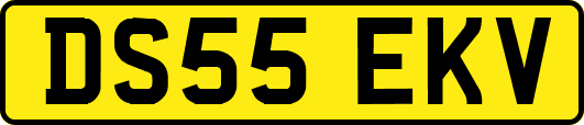 DS55EKV