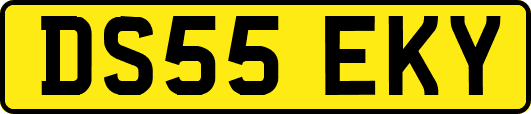 DS55EKY
