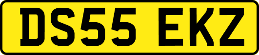 DS55EKZ