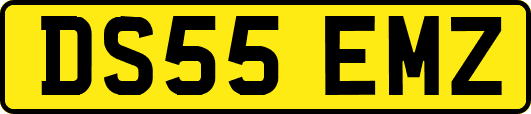 DS55EMZ