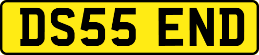 DS55END