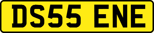 DS55ENE