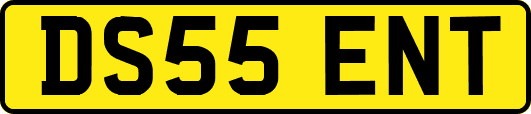 DS55ENT