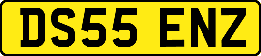DS55ENZ
