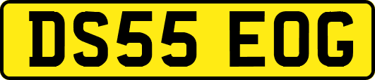 DS55EOG