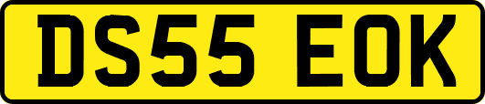 DS55EOK