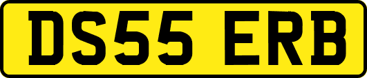 DS55ERB