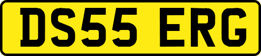 DS55ERG