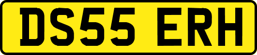 DS55ERH