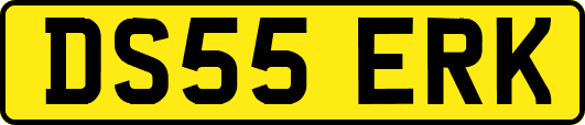 DS55ERK