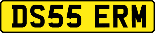 DS55ERM