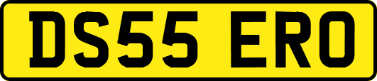 DS55ERO