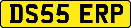 DS55ERP
