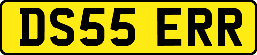 DS55ERR