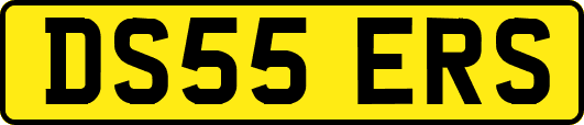 DS55ERS