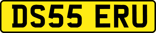 DS55ERU